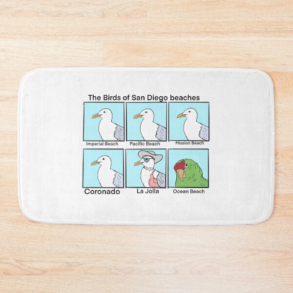 Item preview, Types of San Diego beach birds designed and sold by Manalopangaea.