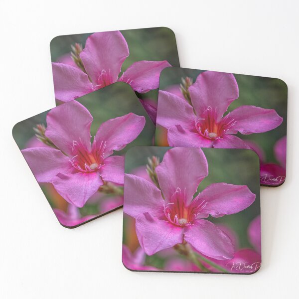 Item preview, Pink Bloom designed and sold by JDPine.