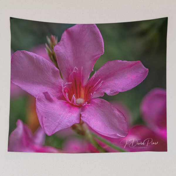 Item preview, Pink Bloom designed and sold by JDPine.