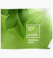 pantone greenery Poster