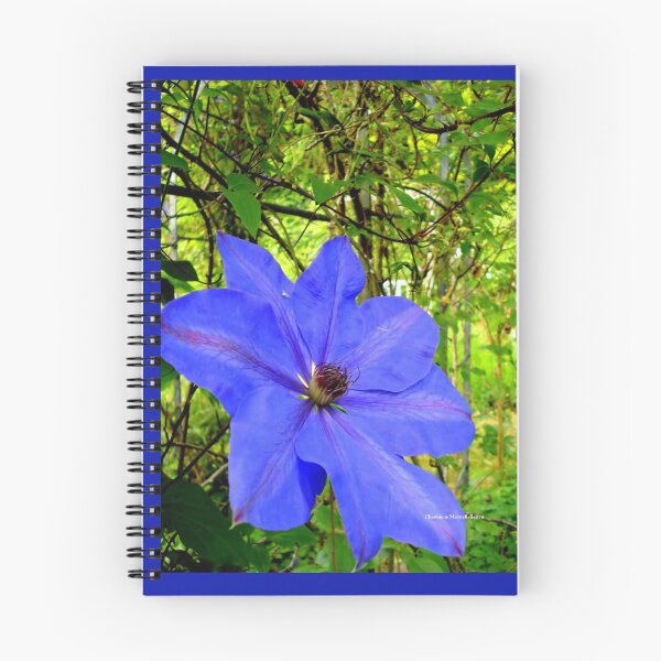 Item preview, Blue Clemetis designed and sold by Charmiene Maxwell-Batten.