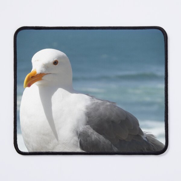 Item preview, Seagull Closeup designed and sold by NeworImage.
