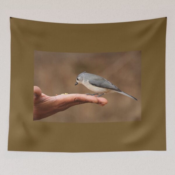 Item preview, Tufted Titmouse in Hand designed and sold by PaulKPhoto.