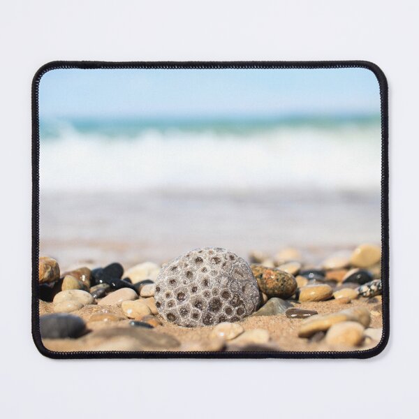 Item preview, Petoskey Stone on Lake Michigan Beach designed and sold by opptop.