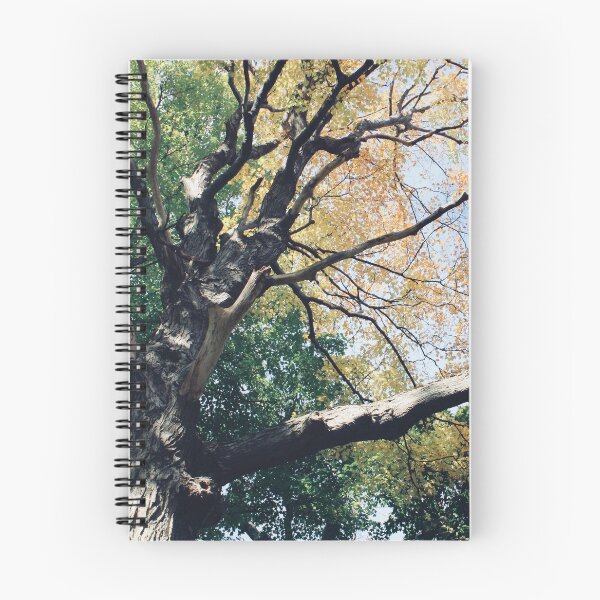 Item preview, Beautiful Tree designed and sold by RoseyElisabeth.