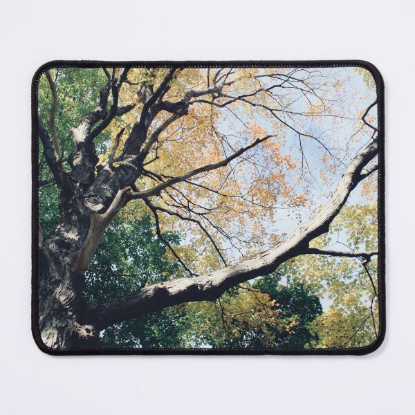 Item preview, Beautiful Tree designed and sold by RoseyElisabeth.