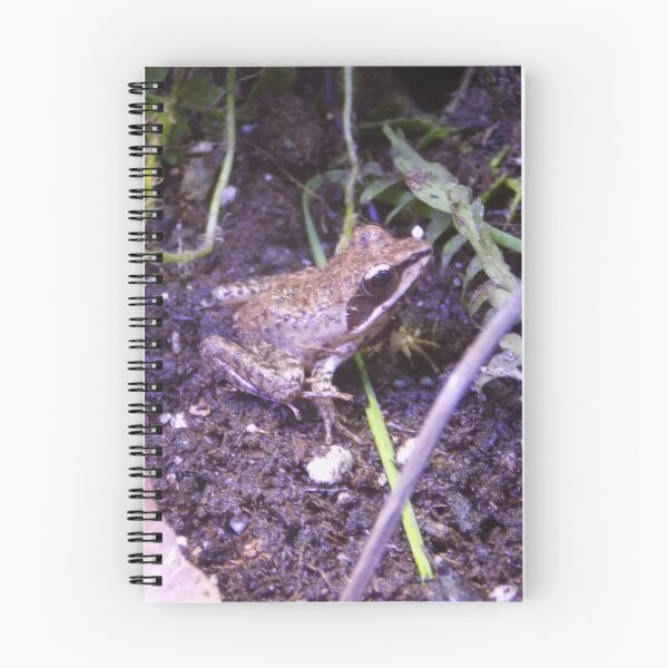 Item preview, Young Wood Frog Sideview designed and sold by DragonCGallery.