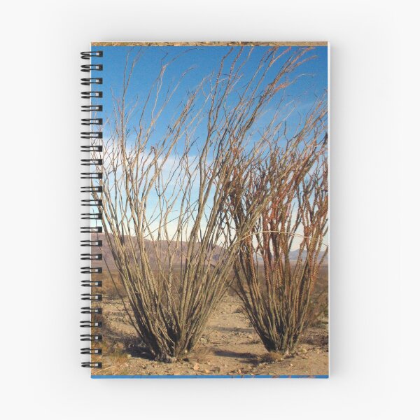 Item preview, Ocotillo Grove, JoshuaTree designed and sold by ArthurDurkeeArt.