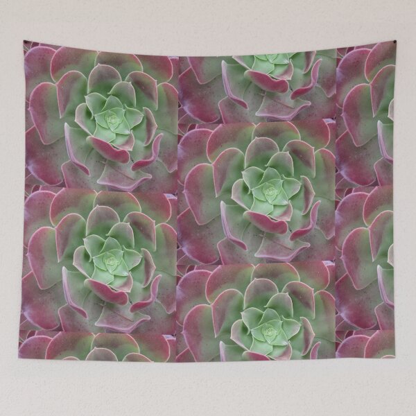Item preview, Colourful Succulent designed and sold by Honey Myrtle Studio.