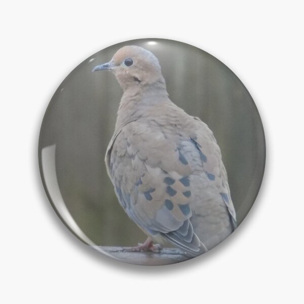 Item preview, Mourning Dove on Back Porch designed and sold by DragonCGallery.