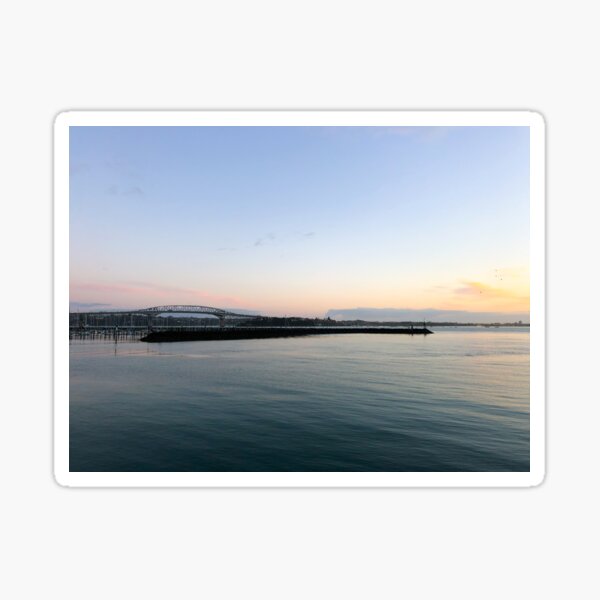 Item preview, Marina And Auckland Harbour Bridge designed and sold by Michael McGimpsey.