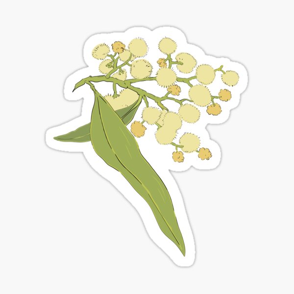 Item preview, Acacia pycnantha designed and sold by Apteryx-Art.