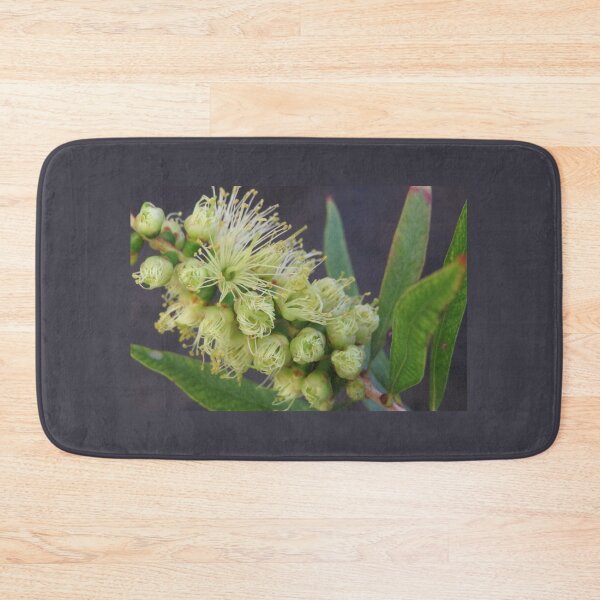 Item preview, New Blooms Bottlebrush designed and sold by Honey Myrtle Studio.