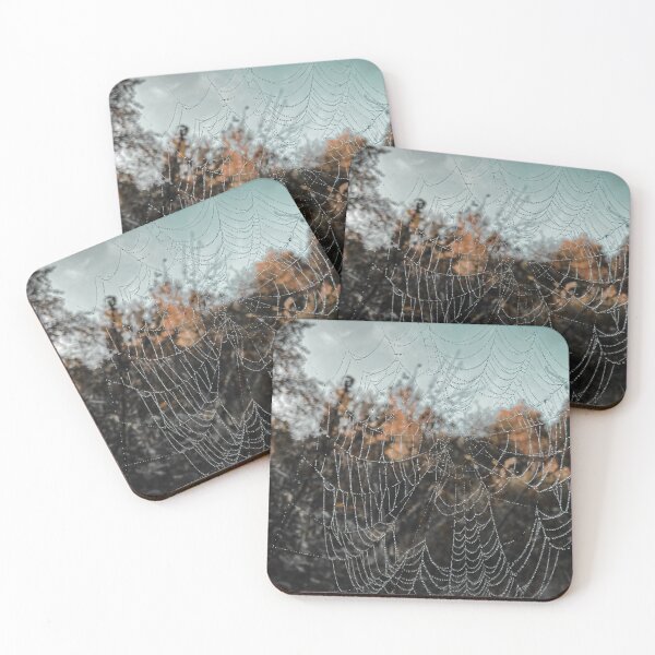 Item preview, spiderweb designed and sold by Julia  Kovtunyak.