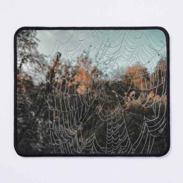 Item preview, spiderweb designed and sold by Julia  Kovtunyak.