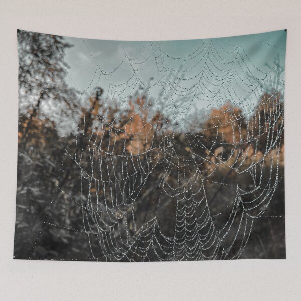 Item preview, spiderweb designed and sold by Julia  Kovtunyak.