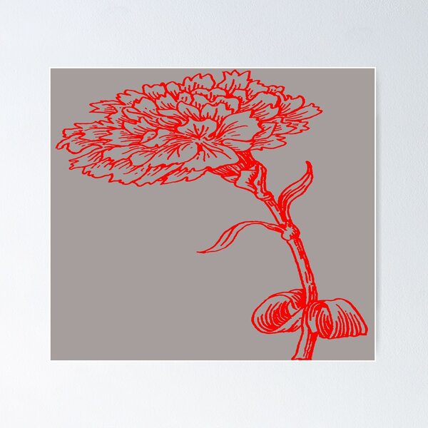 Item preview, Vintage Carnation Botanical Line Art Illustration Red Ink designed and sold by taiche.
