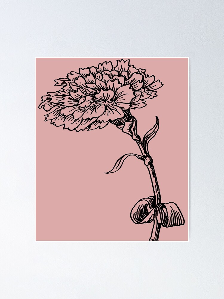 Carnation Flower Done in Ink.  Spiral Notebook for Sale by