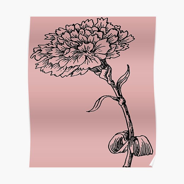 Carnation Flowers Garden Quote T-shirt Design Vector Download