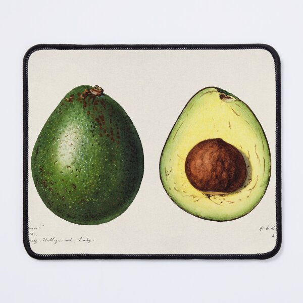Item preview, Ripe green avocado vintage illustration designed and sold by lilach-e.