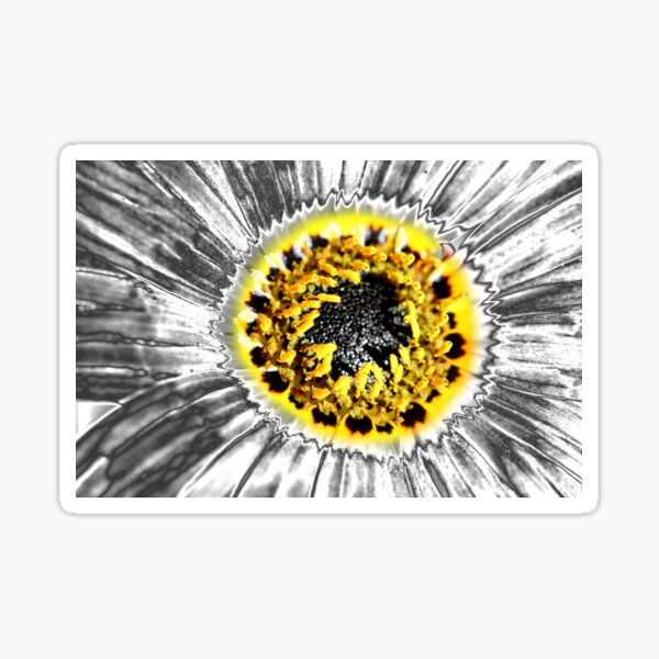 Metalised Gazania Sticker