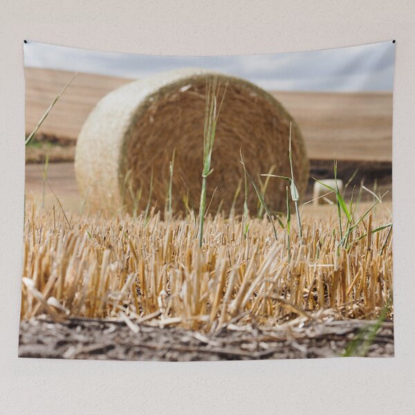 Item preview, Round Bale Photography Print designed and sold by griffingphoto.