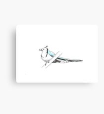 Blue bird Canvas Print