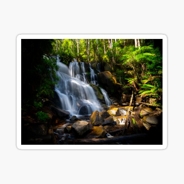 Item preview, The Beautiful Toorongo Falls in Victoria designed and sold by DesignBoard Photography.