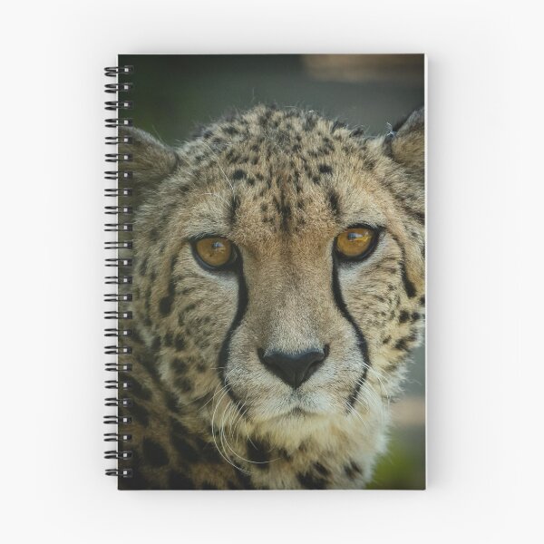 Item preview, Cheetah designed and sold by Adrian Rowley.