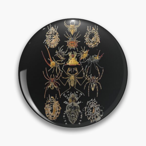 Item preview, Ernst_Haeckel - Arachnida (Spieder), Art Forms of Nature - 1904   designed and sold by MadyJays.