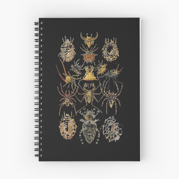 Item preview, Ernst_Haeckel - Arachnida (Spieder), Art Forms of Nature - 1904   designed and sold by MadyJays.