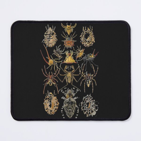 Item preview, Ernst_Haeckel - Arachnida (Spieder), Art Forms of Nature - 1904   designed and sold by MadyJays.