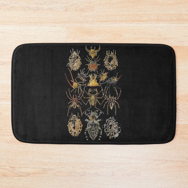Item preview, Ernst_Haeckel - Arachnida (Spieder), Art Forms of Nature - 1904   designed and sold by MadyJays.