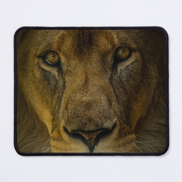 Item preview, Kasanga of the Pride designed and sold by Adrian Rowley.