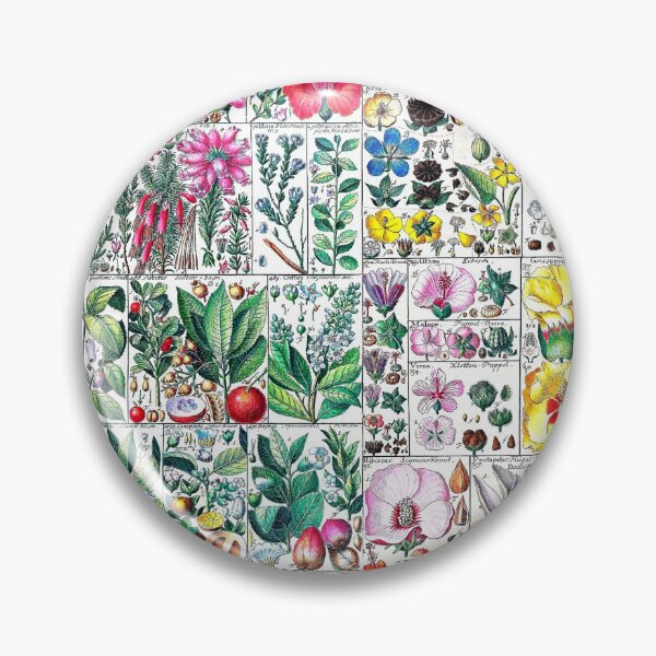 Item preview, Scientific illustration of flora - 1795-1804 designed and sold by RPGHaven.