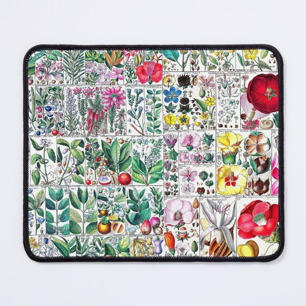 Item preview, Scientific illustration of flora - 1795-1804 designed and sold by RPGHaven.