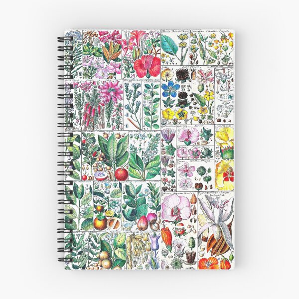 Item preview, Scientific illustration of flora - 1795-1804 designed and sold by RPGHaven.