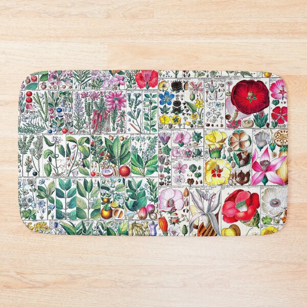 Item preview, Scientific illustration of flora - 1795-1804 designed and sold by RPGHaven.