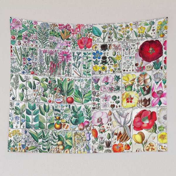 Item preview, Scientific illustration of flora - 1795-1804 designed and sold by RPGHaven.
