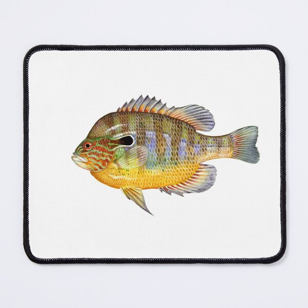 Item preview, longear sunfish freshwater america designed and sold by Reo12.