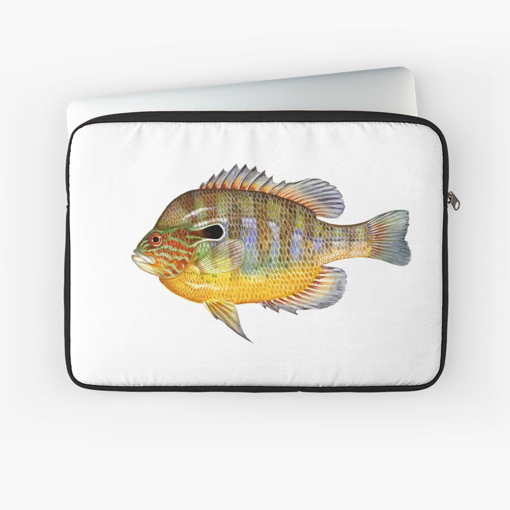 Funny Longear Sunfish Freshwater Fish Lake Gift #6 iPhone 14 Case