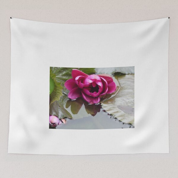 Item preview, Water lily in the garden dike designed and sold by rachariedel.