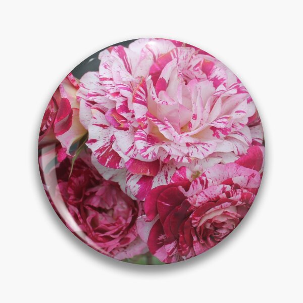 Item preview, roses designed and sold by rachariedel.