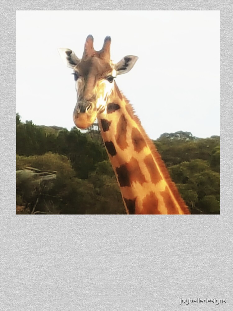 Giraffe Short Sleeve Tee, You aren't Even On My Level 100% Cotton