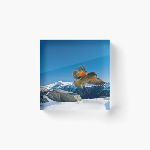 Item preview, Kea  designed and sold by Niels Koervers.