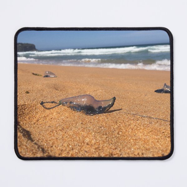 Item preview, Blue bottle jellyfish washed ashore designed and sold by oojagapivy.