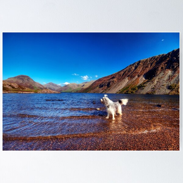 Item preview, Bailey @ Wastwater designed and sold by Paul Thompson Photography.