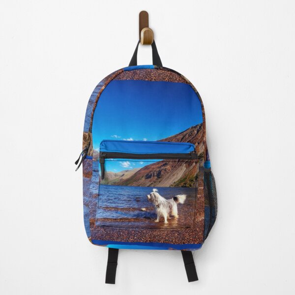 Item preview, Bailey @ Wastwater designed and sold by Paul Thompson Photography.