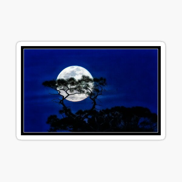 ghostly-wolf-moon-rising-sticker-for-sale-by-jmarmaro-redbubble