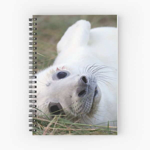 Item preview, AHHHHH designed and sold by Paul Thompson Photography.